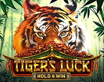 Tiger`s Luck - Hold & Win